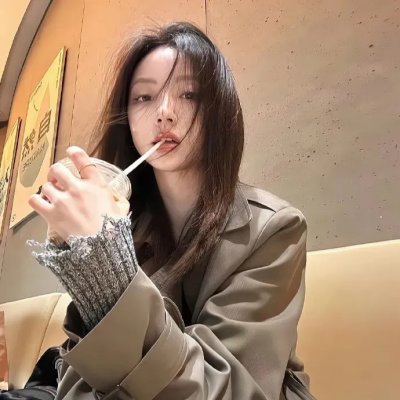 没人瞭波斯猫